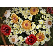 Virágos mező csokor (10 szál)