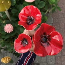 Pipacs csokor vegyes