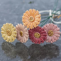 Gerbera