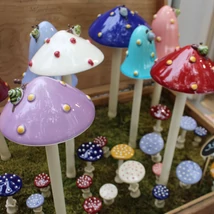 Kerti gomba - kicsi, lapos