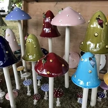 Kerti gomba - nagy, lapos