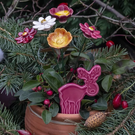 Rudolf karácsonya csokor (6 db) Rudolf karácsonya csokor (6 db)